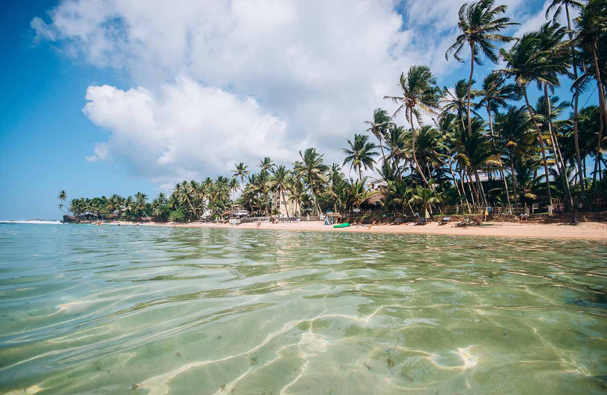 Jungle beach v Dalawella, obrázek Andrei Rudchenko, Shutterstock