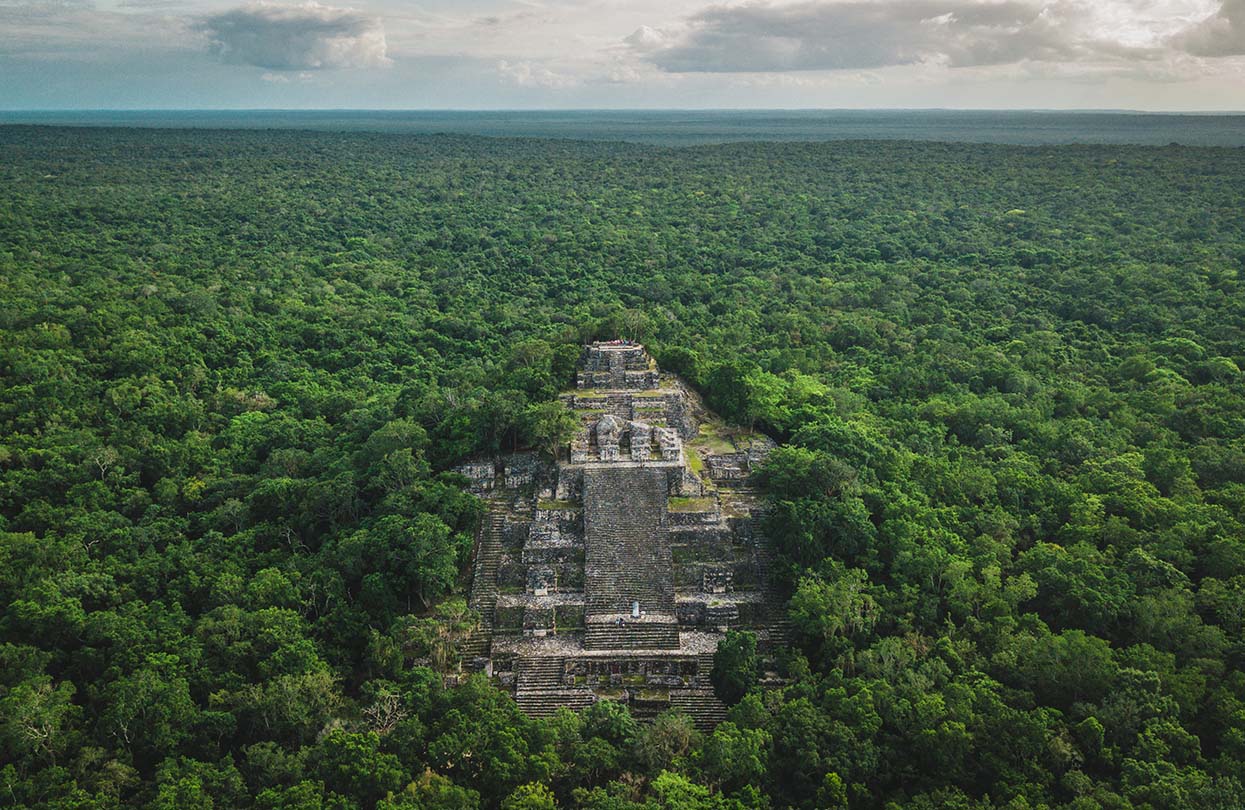 Ruiny starověkého mayského města Calakmul, snímek Alfredo Matus shutterstock