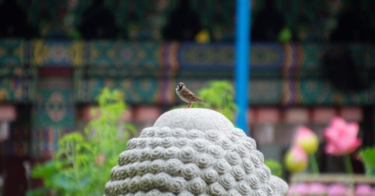 Jak se chovat v buddhistických zemích s respektem